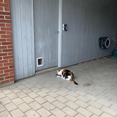 Dejligt Hus Med Have Taet Pa Byen וילה *
